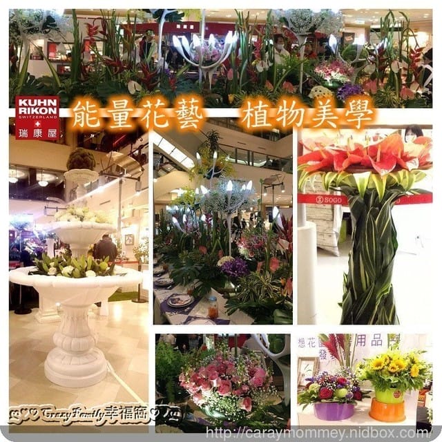 一起化身成精靈來場阿凡達的『異想花園』夜宴吧！《瑞康屋》十周年廚房用品展