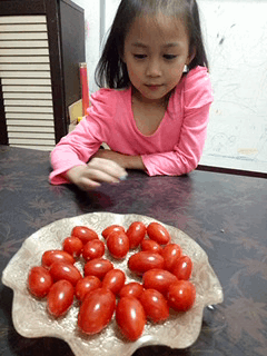 好處多多、營養美顏【團購宅配】豐葉樂活田園每日限量新鮮採收東方美人蜜番茄