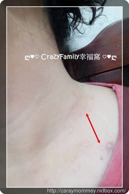 煥然一新的客廳