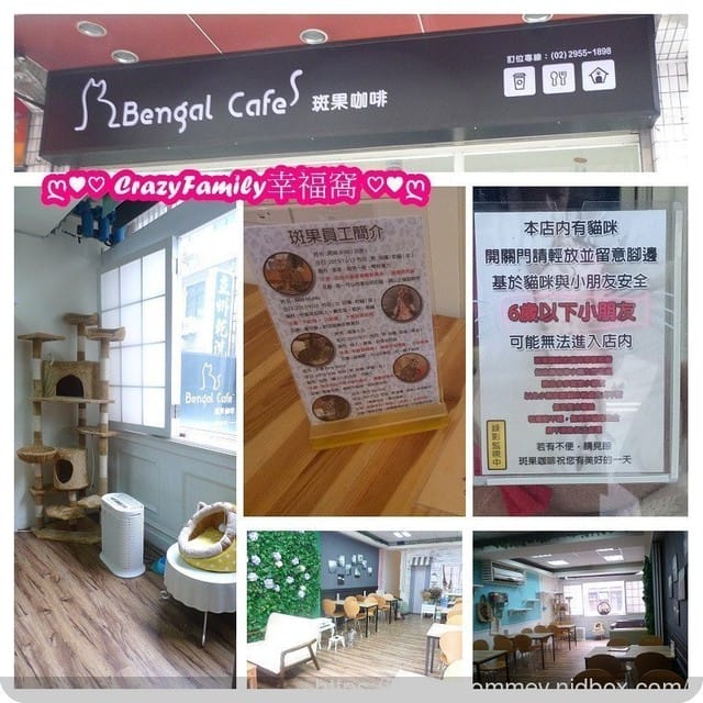 來找豹走兄弟療癒一下in Bengal cafe’ 斑果咖啡 - 第2張圖 來找豹走兄弟療癒一下in Bengal cafe’ 斑果咖啡