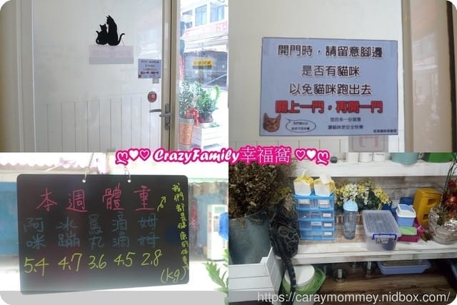 來找豹走兄弟療癒一下in Bengal cafe’ 斑果咖啡 - 第5張圖 來找豹走兄弟療癒一下in Bengal cafe’ 斑果咖啡