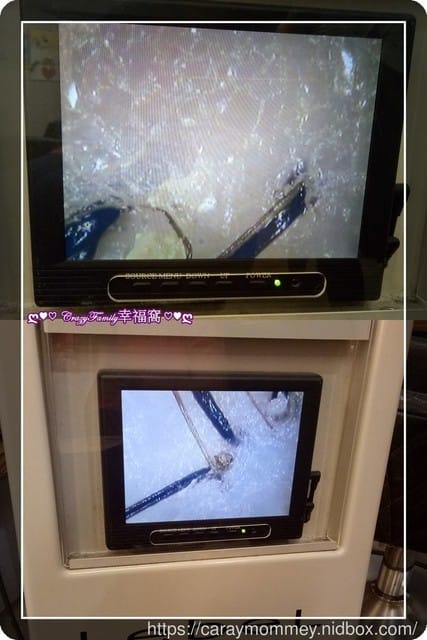 剪髮推薦[台北大安]師大商圈ε月影髮集ε 另有聚會空間可以出租