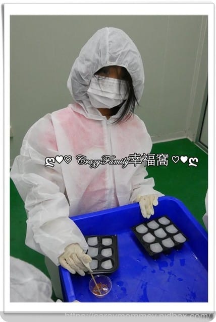 NICE GREEn美蔬菜【小小科技農夫親子體驗營】