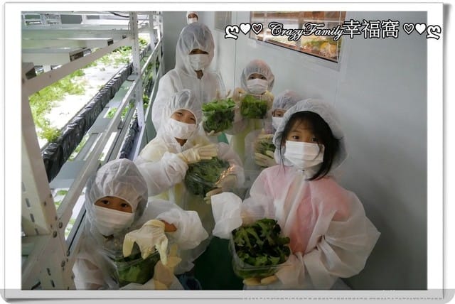 NICE GREEn美蔬菜【小小科技農夫親子體驗營】