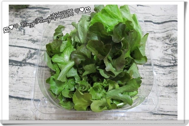 NICE GREEn美蔬菜【小小科技農夫親子體驗營】