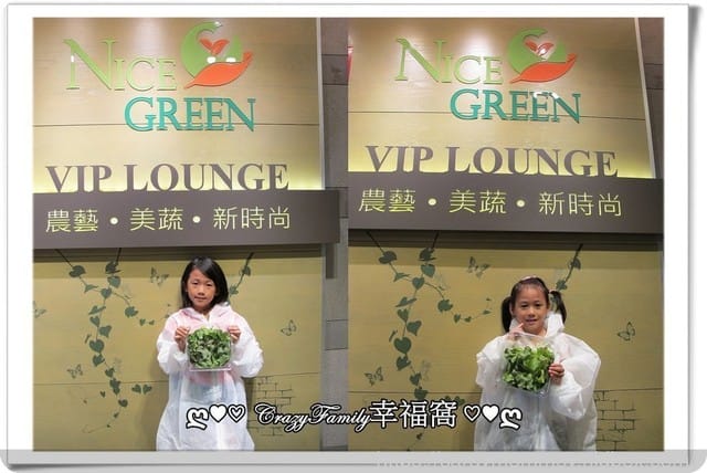 NICE GREEn美蔬菜【小小科技農夫親子體驗營】