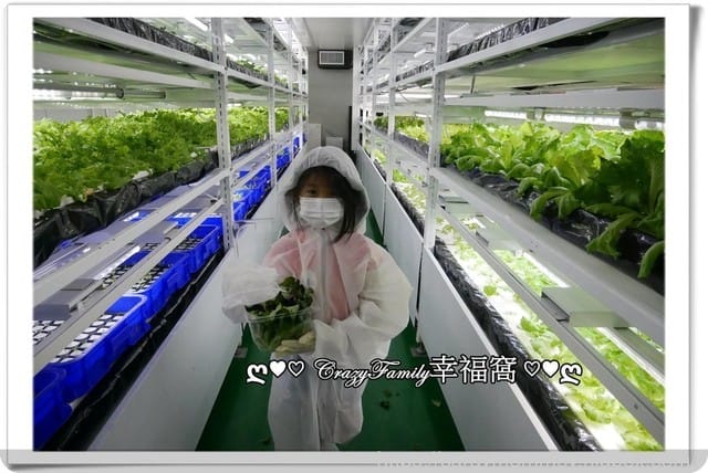 NICE GREEn美蔬菜【小小科技農夫親子體驗營】