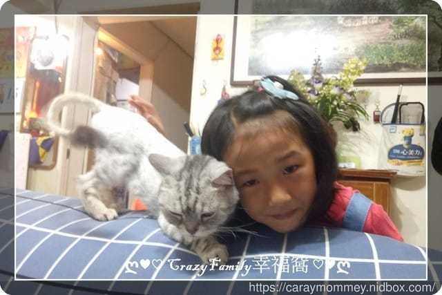 ├ 媽寶趴趴走 ┤屁屁家玩樂