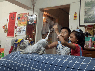 ├ 媽寶趴趴走 ┤屁屁家玩樂