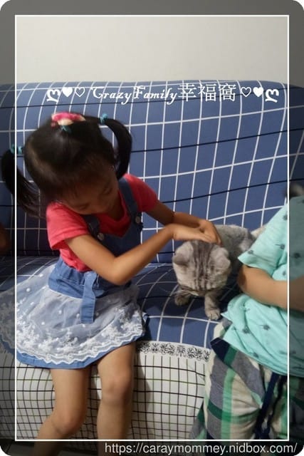 ├ 媽寶趴趴走 ┤屁屁家玩樂