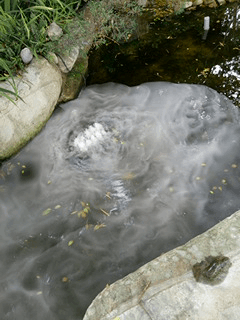 ❦景觀餐廳❦【南投埔里】鳥居Torii 喫茶食堂/祈福文化/親子遊憩