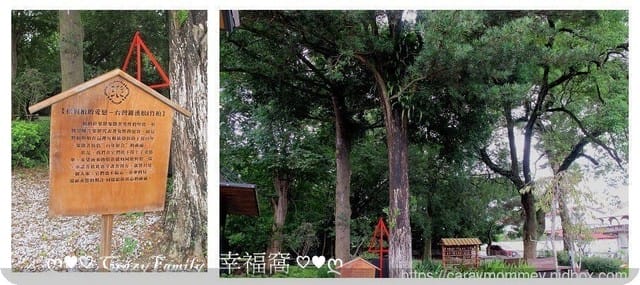 ❦景觀餐廳❦【南投埔里】鳥居Torii 喫茶食堂/祈福文化/親子遊憩