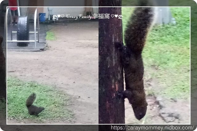 ├ 媽寶相見歡┤和yui醬見面