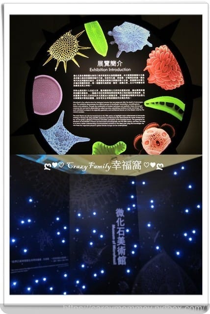 △▲ 寶貝體驗趣 ▲△ LaQ 超級恐龍秀-石光跡 X 恐龍積木動手玩夏日體驗營