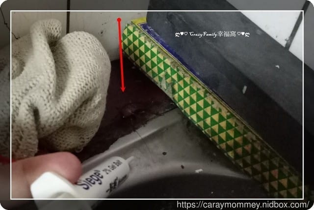 【好物分享】一點絕 2%凝膠餌劑 - 第12張圖 【好物分享】一點絕 2%凝膠餌劑