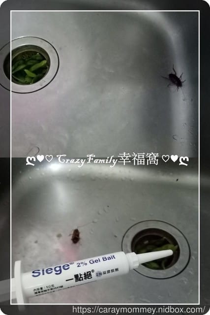 【好物分享】一點絕 2%凝膠餌劑 - 第16張圖 【好物分享】一點絕 2%凝膠餌劑