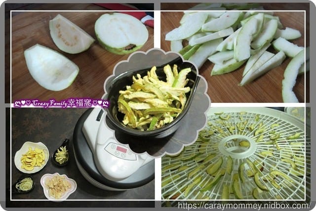 生活好物★NESCO天然食物乾燥機 + 密封真空二用包裝機★生活便利好幫手