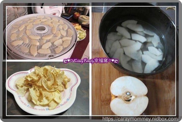 生活好物★NESCO天然食物乾燥機 + 密封真空二用包裝機★生活便利好幫手