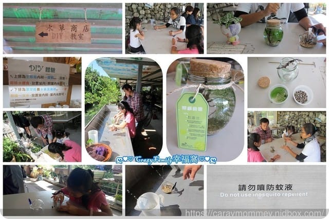 【奧丁丁在地體驗】水草青旅行/專業導覽、手作DIY、低碳料理,眾多免費體驗 - 第14張圖 【奧丁丁在地體驗】水草青旅行/專業導覽、手作DIY、低碳料理,眾多免費體驗