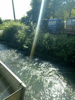 【奧丁丁在地體驗】水草青旅行/專業導覽、手作DIY、低碳料理,眾多免費體驗 - 第36張圖 【奧丁丁在地體驗】水草青旅行/專業導覽、手作DIY、低碳料理,眾多免費體驗