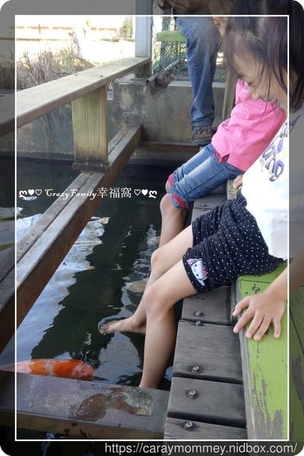 【奧丁丁在地體驗】水草青旅行/專業導覽、手作DIY、低碳料理,眾多免費體驗 - 第39張圖 【奧丁丁在地體驗】水草青旅行/專業導覽、手作DIY、低碳料理,眾多免費體驗