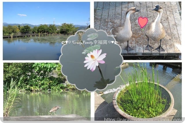 【奧丁丁在地體驗】水草青旅行/專業導覽、手作DIY、低碳料理,眾多免費體驗 - 第11張圖 【奧丁丁在地體驗】水草青旅行/專業導覽、手作DIY、低碳料理,眾多免費體驗