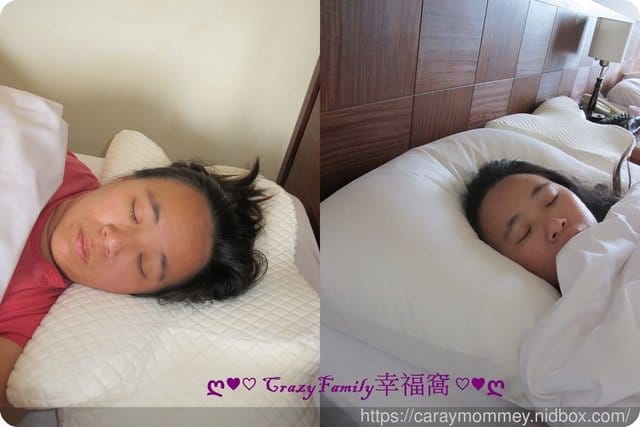 □■好物分享■□ 殿堂の夢枕∞好的枕頭是適合每一個人