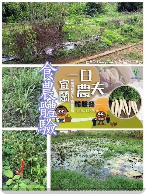 ღ♡ 觀光工廠 ♡ღ 食玩、食農體驗+推廣綠環保教育【宜蘭蘇澳】奇麗灣珍奶文化館