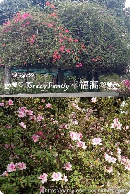 ├ 媽寶玩樂去 ┤【台北萬華】青年公園
