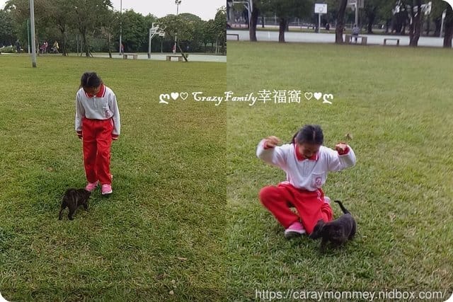 公園溜狗去