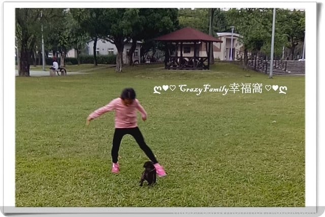 公園溜狗去