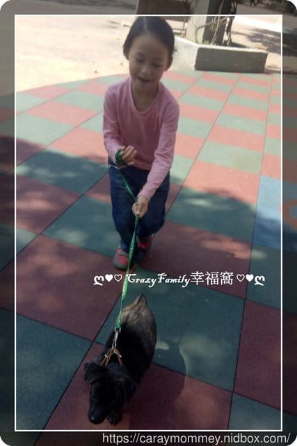 ├ 媽寶溜狗趣 ┤ - 第2張圖 ├ 媽寶溜狗趣 ┤