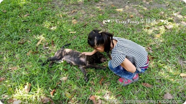2019清明連假度假去