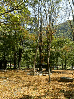 2019清明連假度假去
