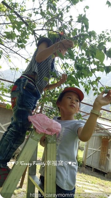 2019清明連假度假去