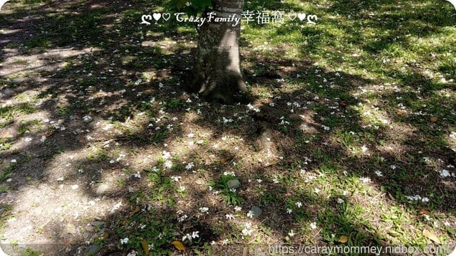 2019清明連假度假去