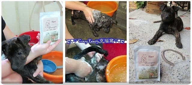 ■□寵物用品分享□■保護寵物肌膚阻隔抑菌￠抗氧化矽寵礦物能量植萃全效寵物洗毛劑-蜜雅石榴