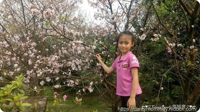 陽明山放風趴趴走 - 第7張圖 陽明山放風趴趴走