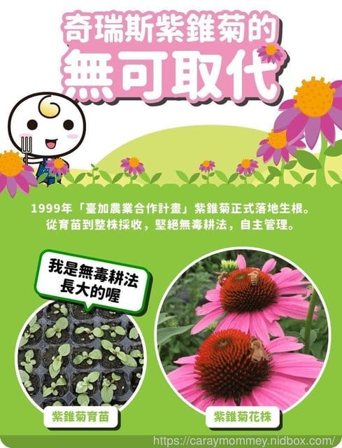 可以喝的益生菌☆全新升級ORIOUS奇瑞斯紫錐菊萃飲 - 第3張圖 可以喝的益生菌☆全新升級ORIOUS奇瑞斯紫錐菊萃飲