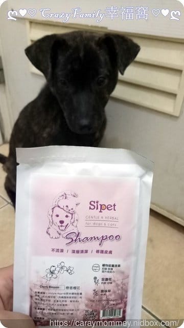 ■□寵物用品分享□■保護寵物溫和配方￠矽寵礦物能量植萃全效寵物洗毛劑-戀香櫻花