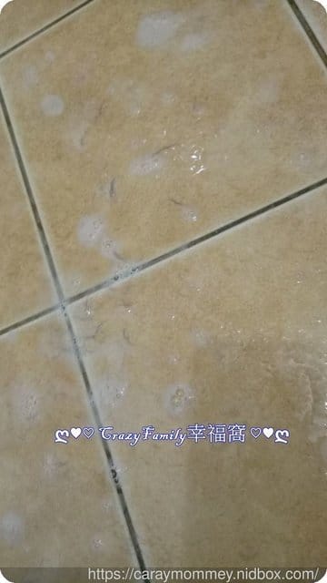 ■□寵物用品分享□■一同呵護換毛期的毛孩￠矽寵礦物能量植萃全效寵物洗毛劑-綠萃茶香