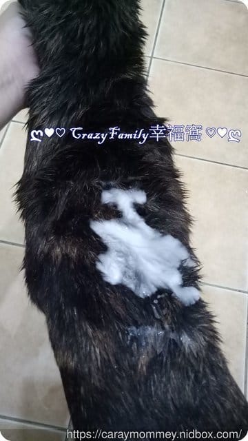 ■□寵物用品分享□■一同呵護換毛期的毛孩￠矽寵礦物能量植萃全效寵物洗毛劑-綠萃茶香