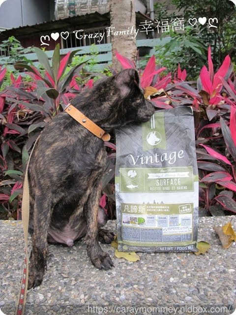 ■□寵物用品分享□■雙鮮肉完整食材烤箱低溫盤烤Vintage凡諦斯海陸全餐