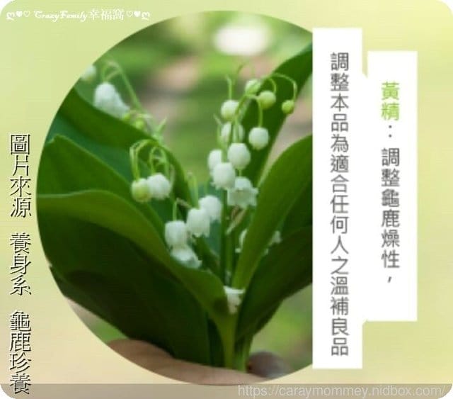 養身系【龜鹿活力の對策】堅持古法熬煮的日常保養