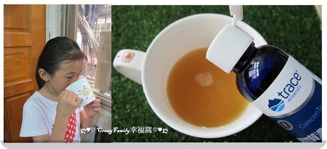 Trace Minerals萃思鎂礦物質濃縮滴劑