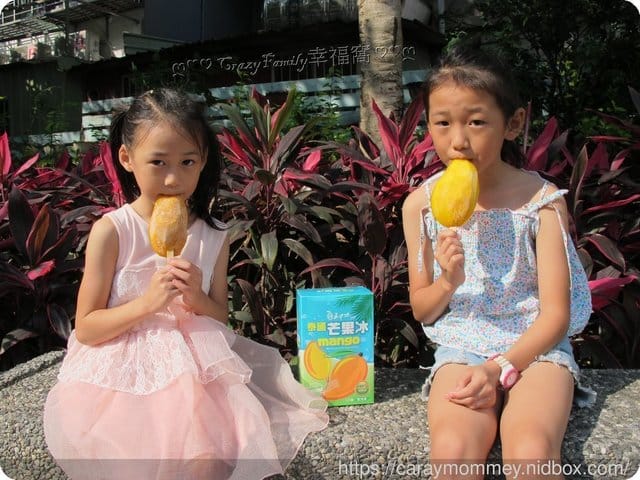 愛吃分享ღ 熱帶水果夏季必吃【五甲木農產】山竹/紅毛丹/龍宮果/金枕頭榴槤/芒果冰◆泰國進口