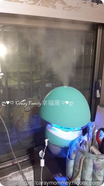 居家必備品∮相信葉子∮澳洲茶樹純露+澳洲茶樹精油 - 第10張圖 居家必備品∮相信葉子∮澳洲茶樹純露+澳洲茶樹精油