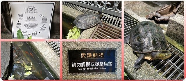 赤崁璽樓創意異國蔬食料理 ♡ 台南蔬食 台南民宿 鳳梨酥