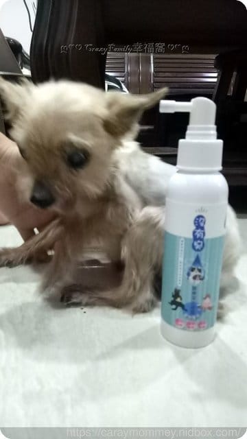 陪伴寵物遠離疾病■□寵物用品分享□■【條紋共和國】沒有臭◇毛寶貝專用滅菌液+潔牙凝露