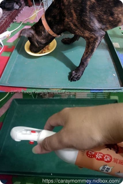 陪伴寵物遠離疾病■□寵物用品分享□■【條紋共和國】沒有臭◇毛寶貝專用滅菌液+潔牙凝露